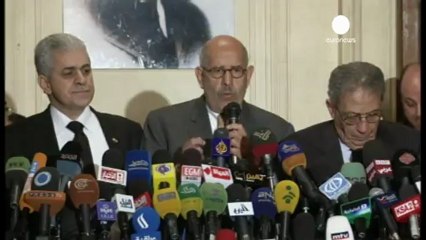 Egypt's ElBaradei says all sides must meet to end violence