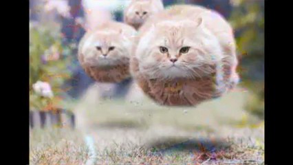 Pire : Tumblr et Photoshoped Pics