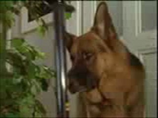 ΡΕΞ - Ο ΑΝΘΡΩΠΟΣ ΜΕ ΤΑ ΧΙΛΙΑ ΠΡΟΣΩΠΑ ΜΕΡΟΣ 2