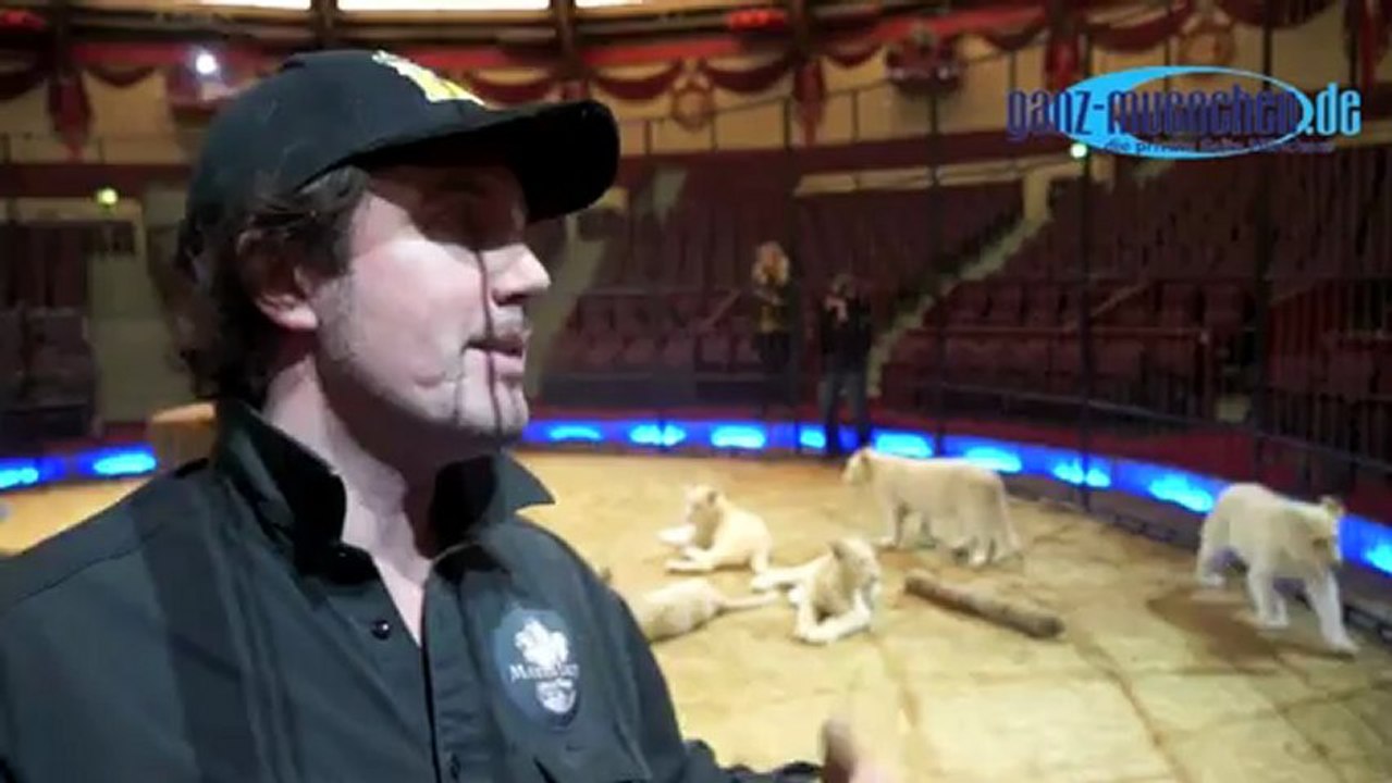 Preview: Martin Lacey jr. präsentiert 6 Babylöwen im 2. Winterprogramm 2013 @ Circus Krone