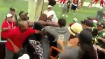 Pro-Bowl Players Stop to Watch Brawl in the Stands