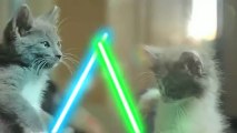 Croquinambourg : Jedi Kittens sabre laser [Star Wars]