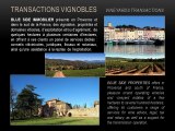 VENTE VIGNOBLE - PROPRIETE ET DOMAINE VITICOLE A VENDRE - ACHAT PROVENCE VAR ST-TROPEZ - BLUE SIDE IMMOBILIER