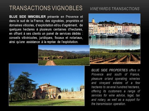 VENTE VIGNOBLE - PROPRIETE ET DOMAINE VITICOLE A VENDRE - ACHAT PROVENCE VAR ST-TROPEZ - BLUE SIDE IMMOBILIER