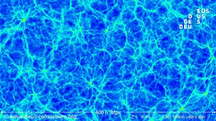 DEUS - Dark matter evolution over time