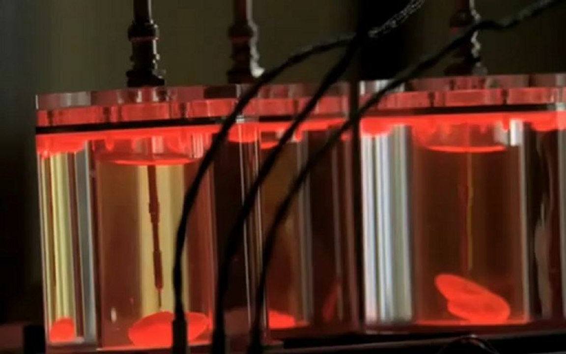 Fringe - Walter remembers