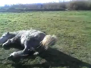 2013-01-30_15-13-27_789