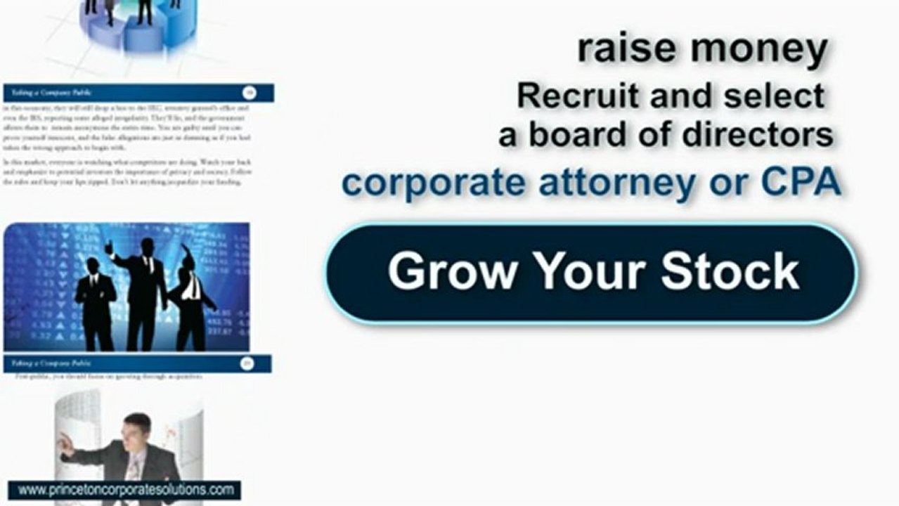 Private Placement Memorandum Example and Private Offerings