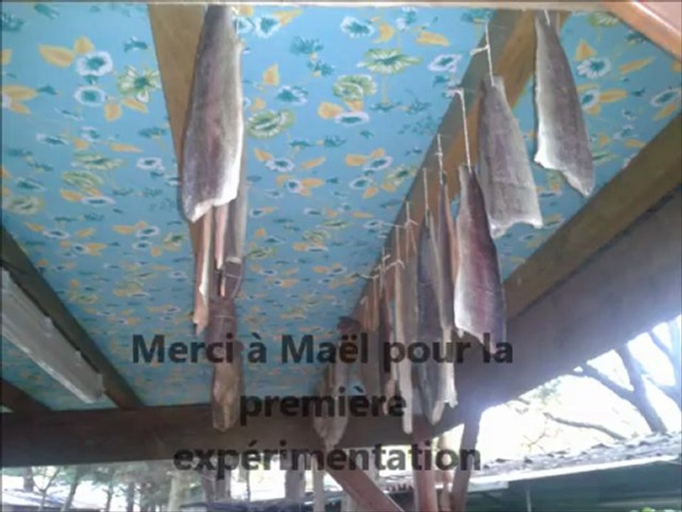 Truites (ou saumon) fumées