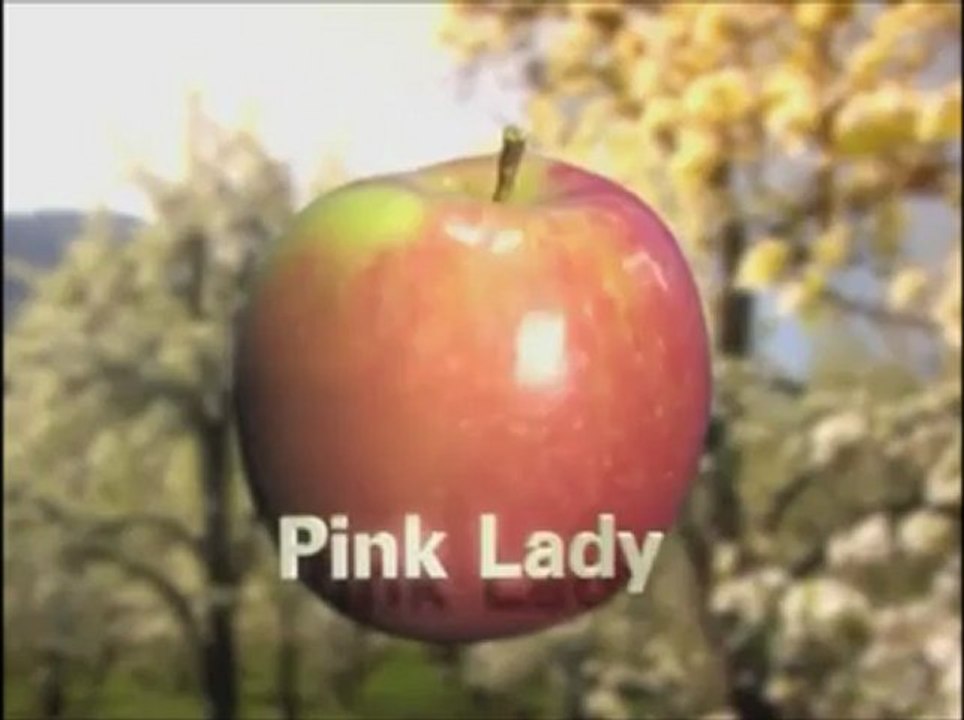 Bodur meyve bahçesi