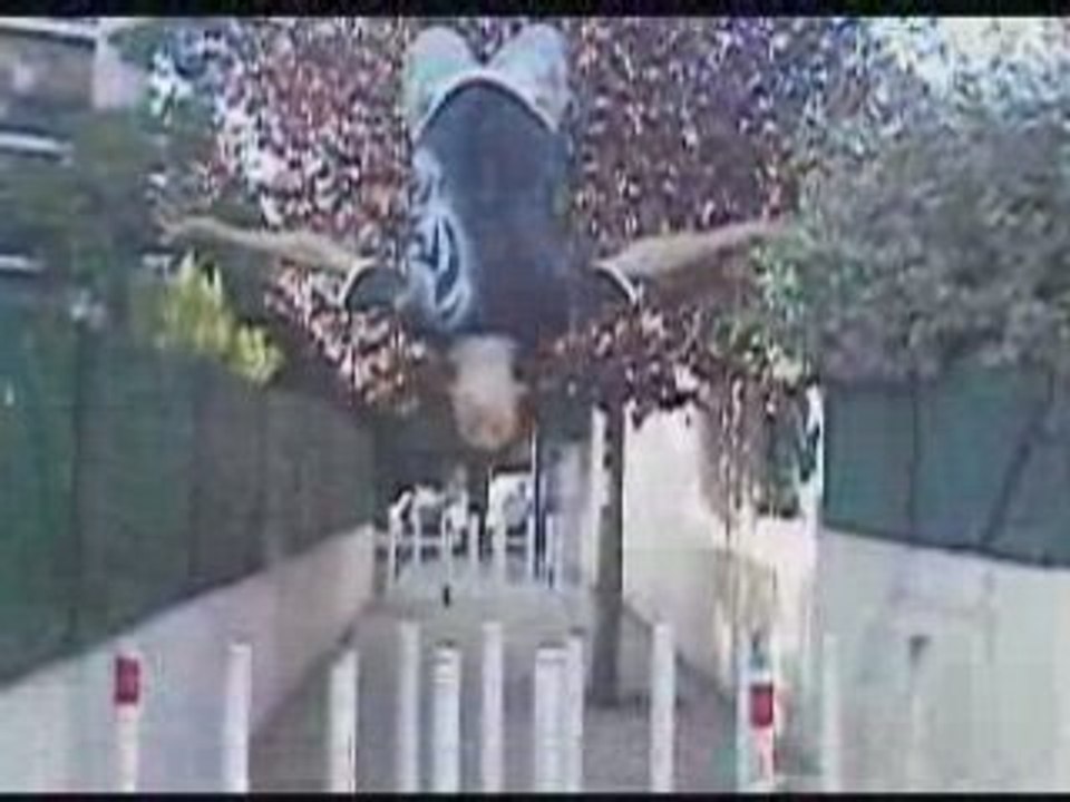 un sanfaur cascadeur