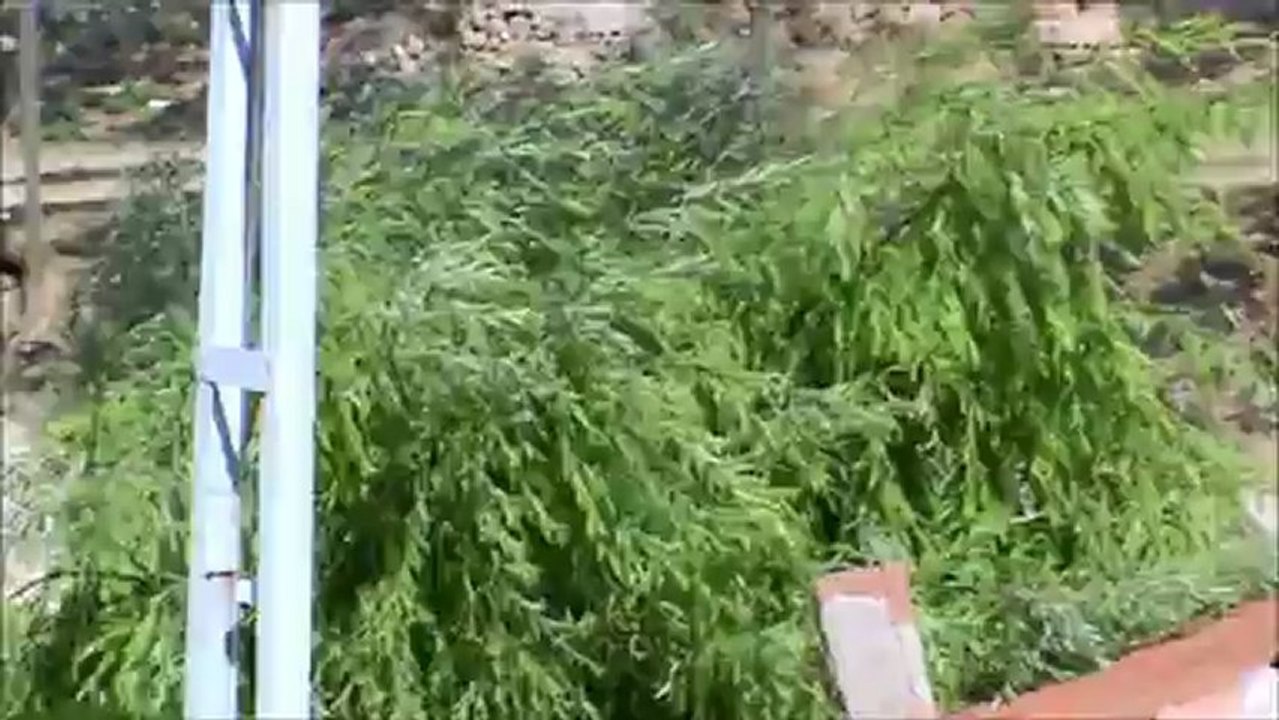 yeni video