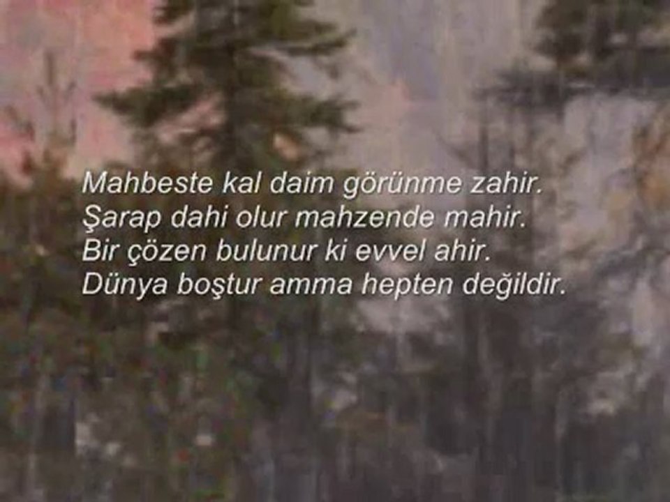degildir-zevraki