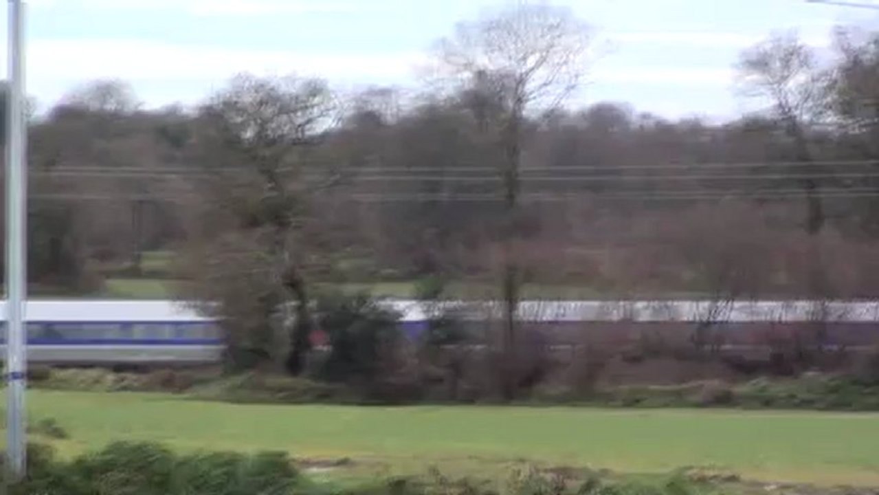 TGV se promene dans les bois
