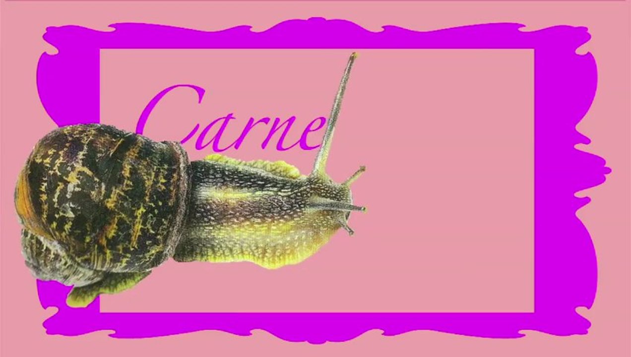 Carnet rose (film Escargot)