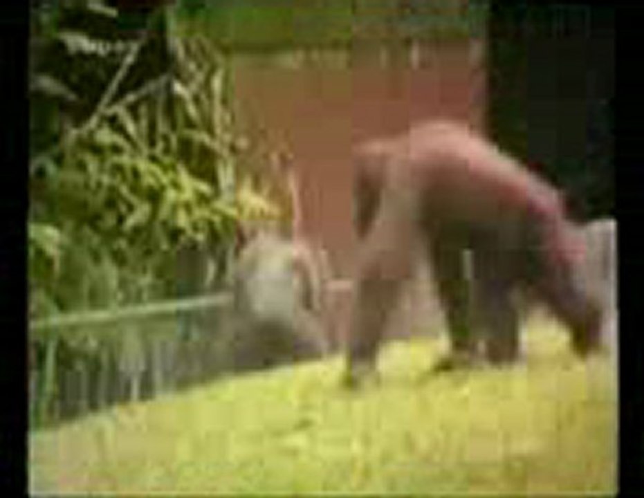 우리카지노 ❤★BAC666.COM★❤라이브홀덤 apart