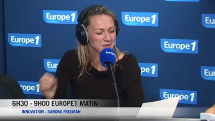 Bientôt le premier cerveau humain numérique