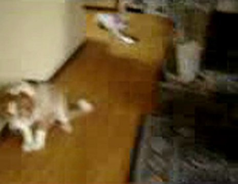 생중계룰렛❤★BAC666.COM★❤썬시티카지노 토의하다,