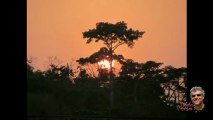 perdu dans les forêts du Togo