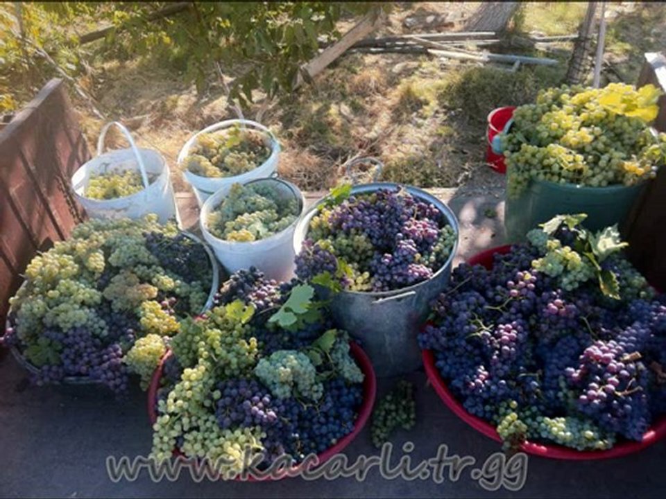 iBRAHIM TATLISES Leylim Ley (Kacarli RESIMLERI )