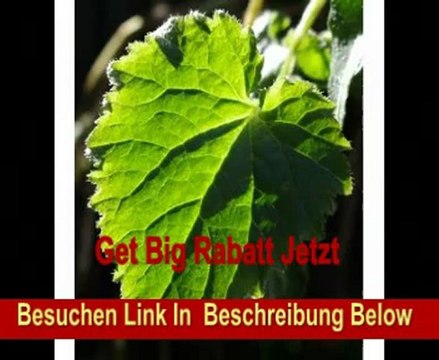 Pentax K-r SLR-Digitalkamera (12 Megapixel, Live View, HD Video) Kit inkl. DA 18-135mm Objektiv