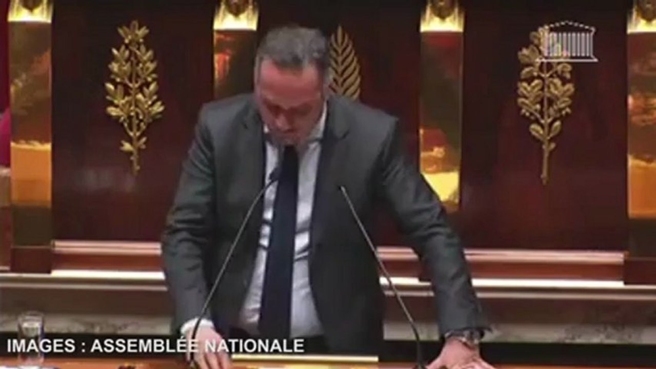"Triangle rose" : le "point Godwin" d'un député PS