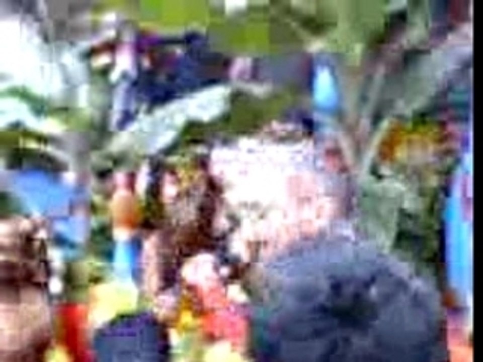 Ganesh2006frontal