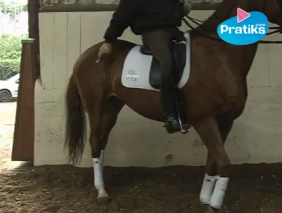Leçon de dressage :  La flexibilité du dressage par Jean-Pierre TULOUP - Équitation