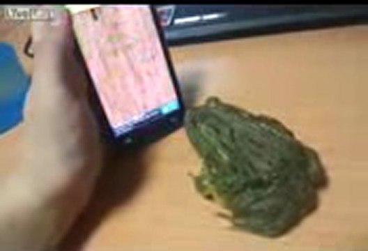 라이브블랙잭 ‥→Ｂ­Ａ­Ｃ­６­６­６­.Ｃ­Ｏ­Ｍ←‥ 라이브블랙잭게임