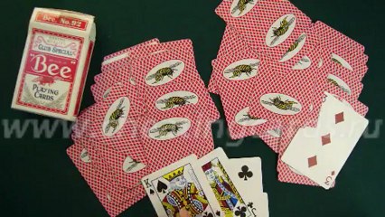 Bee-cards-red-краплеными картами