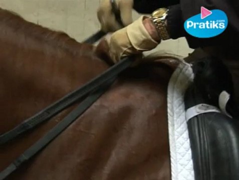 Comment tenir les rênes.