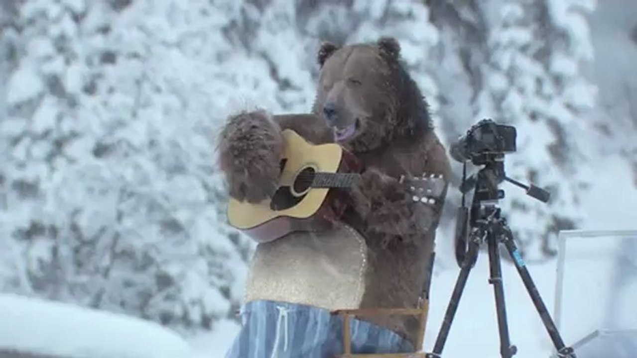 Un ours lave sa fourrure dans une machine à laver