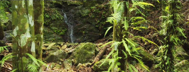 Camp Eden Health Retreat Center in Gold Coast