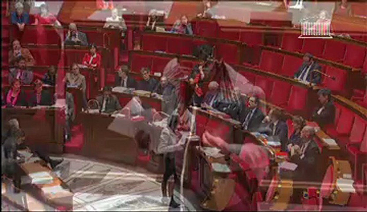 D. Bertinotti (Conclusion discussion générale)