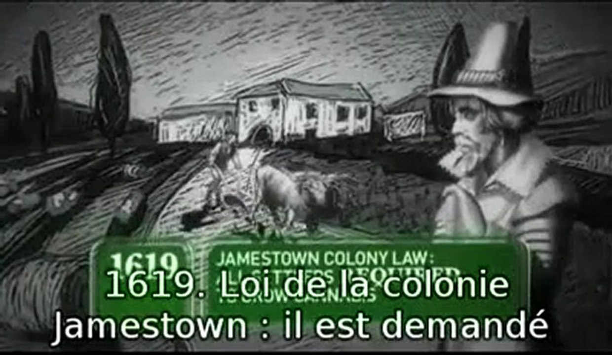 Histoire de la WEED