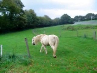 Flam balade à pied 18oct