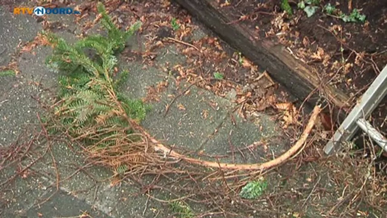 Boom dreigde op woning te vallen - RTV Noord