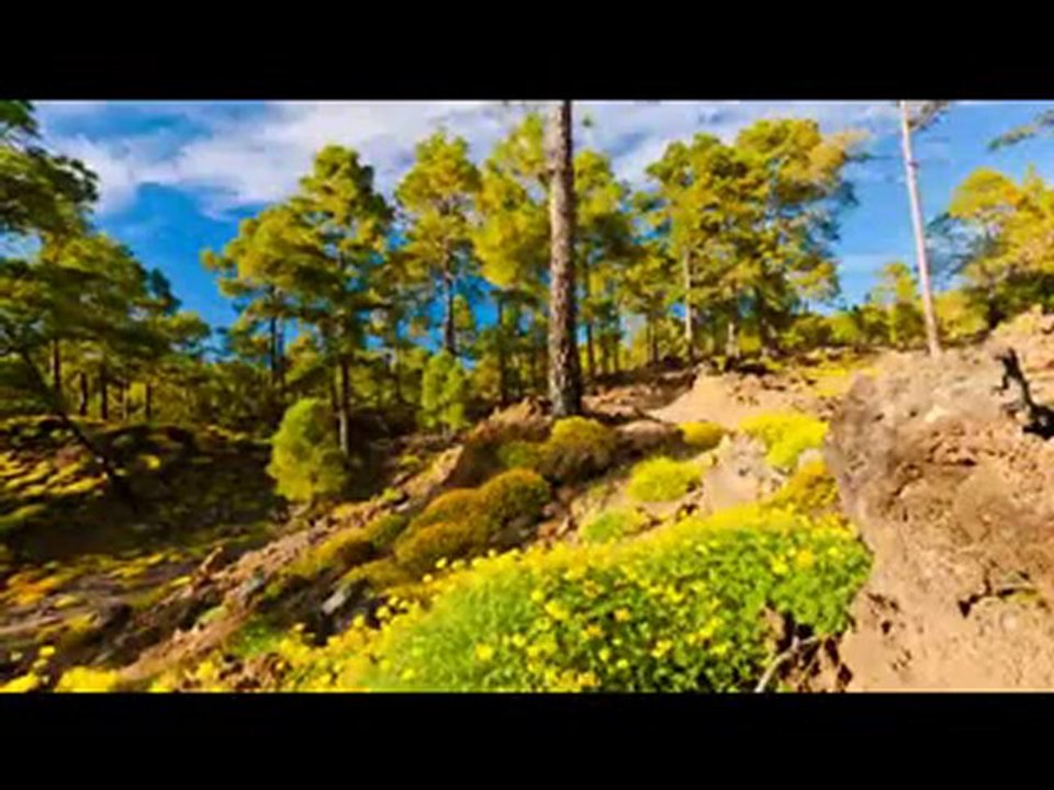 War & (conquered ) fatohaat History of Hazrat Muawiya R.a 1 of 2