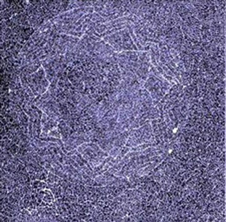 Terry Riley - Poppy Nogood And The Phantom Band All Night Flight