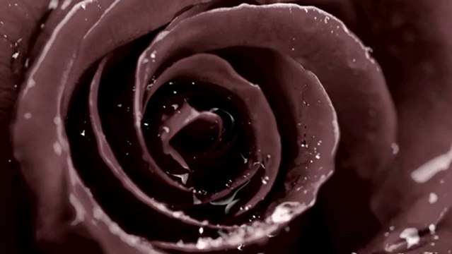 Charles Baudelaire - Les fleurs du mal - Le vin de l'assassin — Bibliothèque Clé — le-livre-cle.fr — © CLE