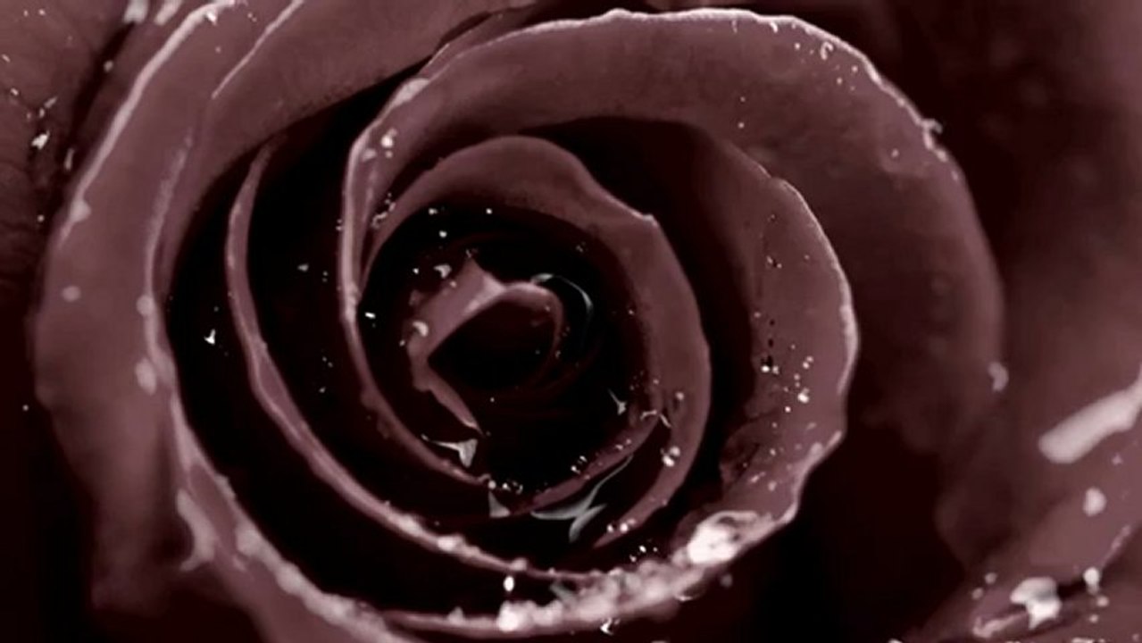 Charles Baudelaire - Les fleurs du mal - "Le vin de l'assassin" — Bibliothèque Clé — www.le-livre-cle.fr — © CLE