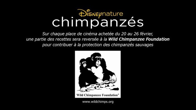 Chimpanzés - Extrait Déjeuner au bord de l'eau [VF|HD] [NoPopCorn]