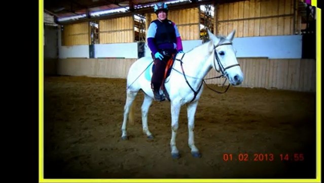 travail sur le plat + trot sans étrier