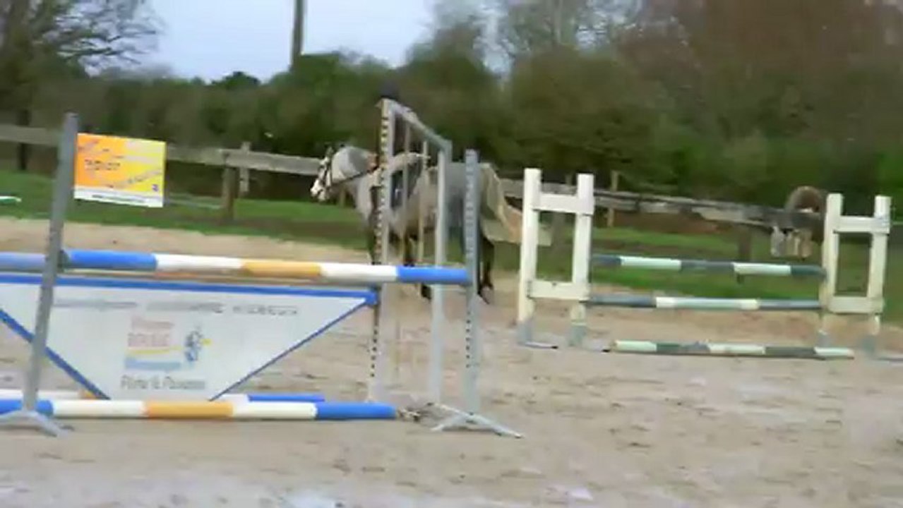 Creigin Joe Prince - A VENDRE