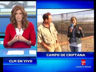 Improntación de perdices en granja