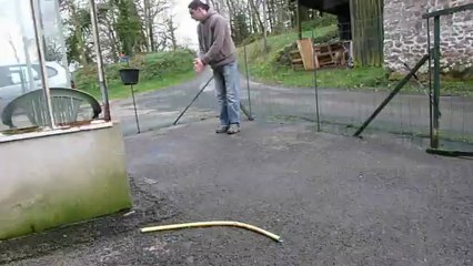 Harmony, 3 mois, aux allures... super attentive, ne manque que la laisse !