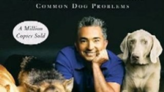 Home Book Review: Cesar's Way: The Natural, Everyday Guide to Understanding and Correcting Common Dog Problems by Cesar Millan, Melissa Jo Peltier