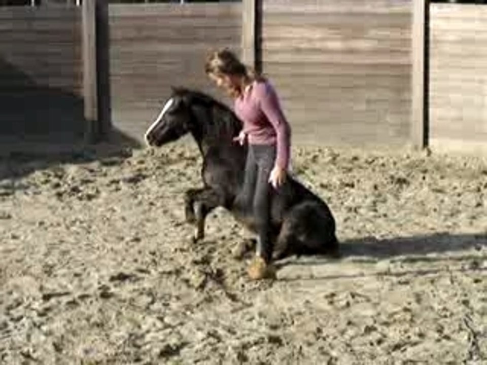 spirit assi jambette oups