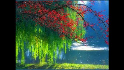 felice  e sereno 1 febbraio