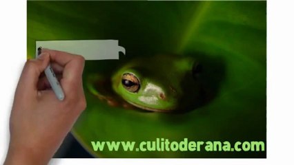 Culito de rana si no sana hoy sana manana